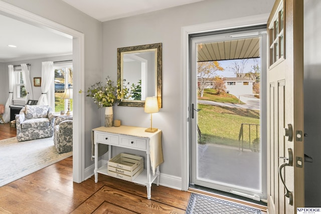 entryway featuring dark hardwood / wood-style flooring