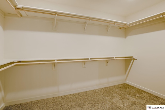 spacious closet featuring carpet flooring