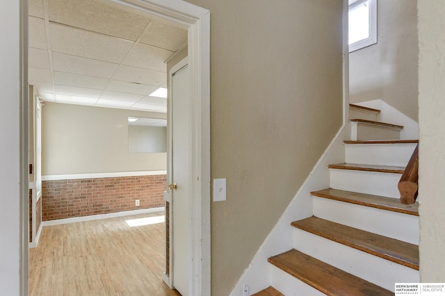 stairs featuring wood-type flooring, a paneled ceiling, and brick wall