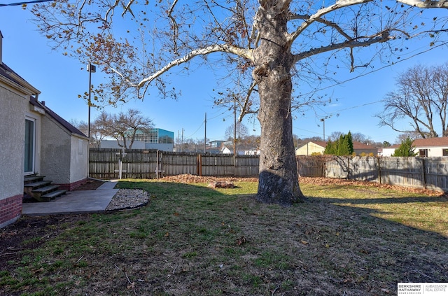 view of yard featuring a patio