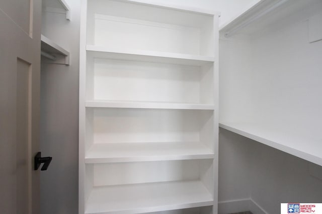 view of walk in closet