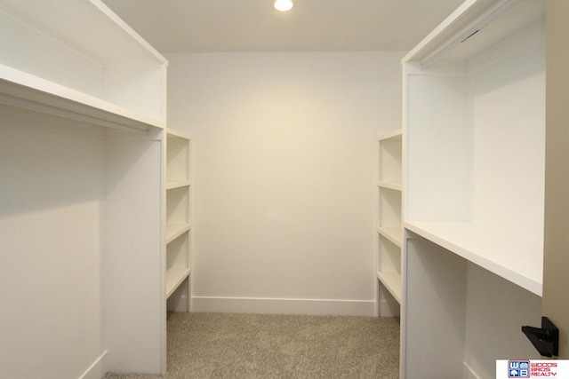 spacious closet featuring light carpet