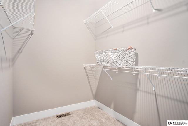 spacious closet with carpet flooring