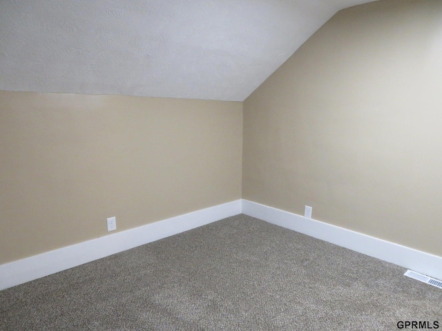 additional living space with a textured ceiling, carpet floors, and lofted ceiling