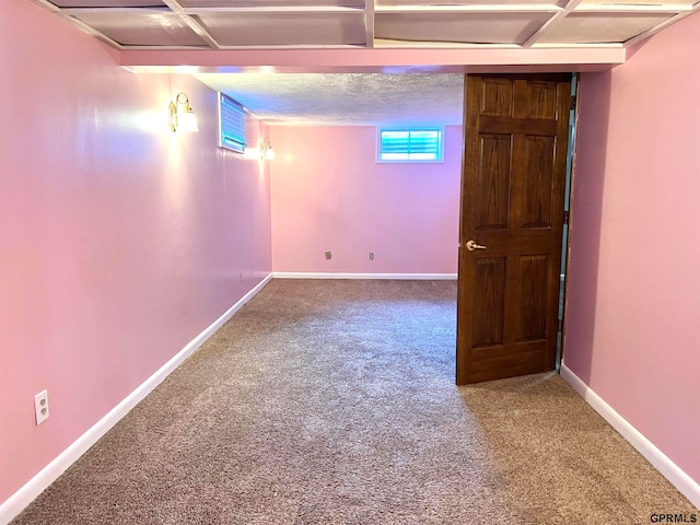 basement featuring carpet