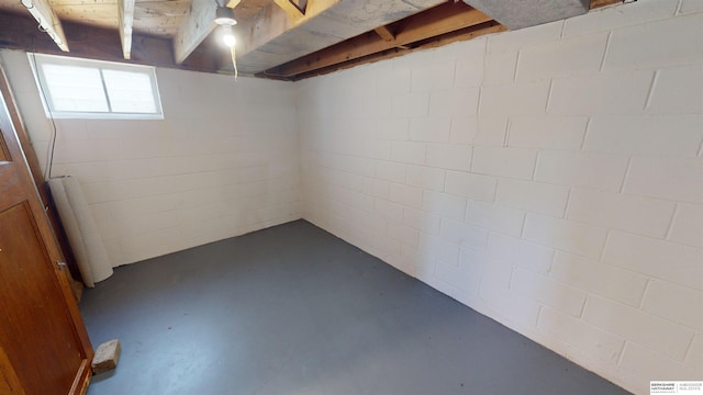 basement featuring radiator heating unit