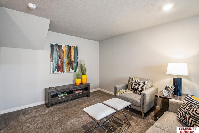 carpeted living room featuring a textured ceiling