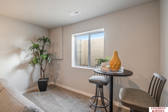 interior space featuring carpet and a textured ceiling