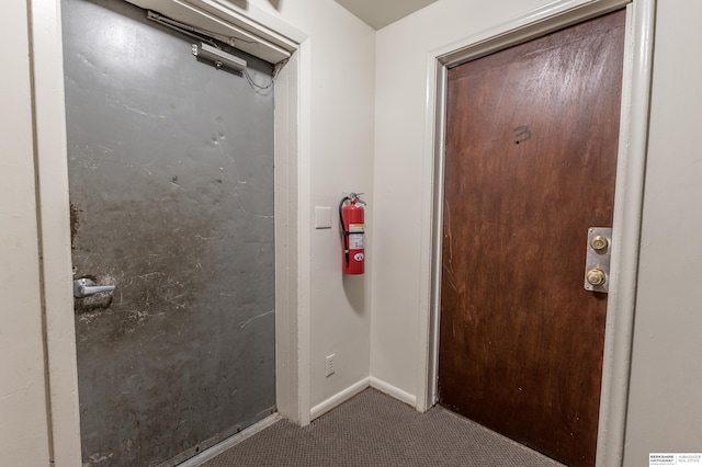 doorway with carpet