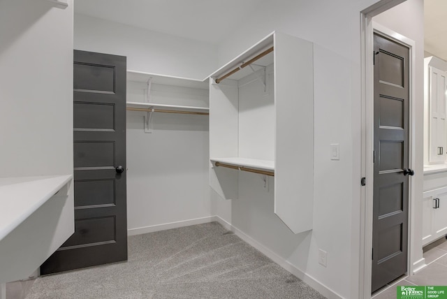 spacious closet with light colored carpet