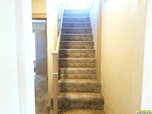 staircase with carpet flooring