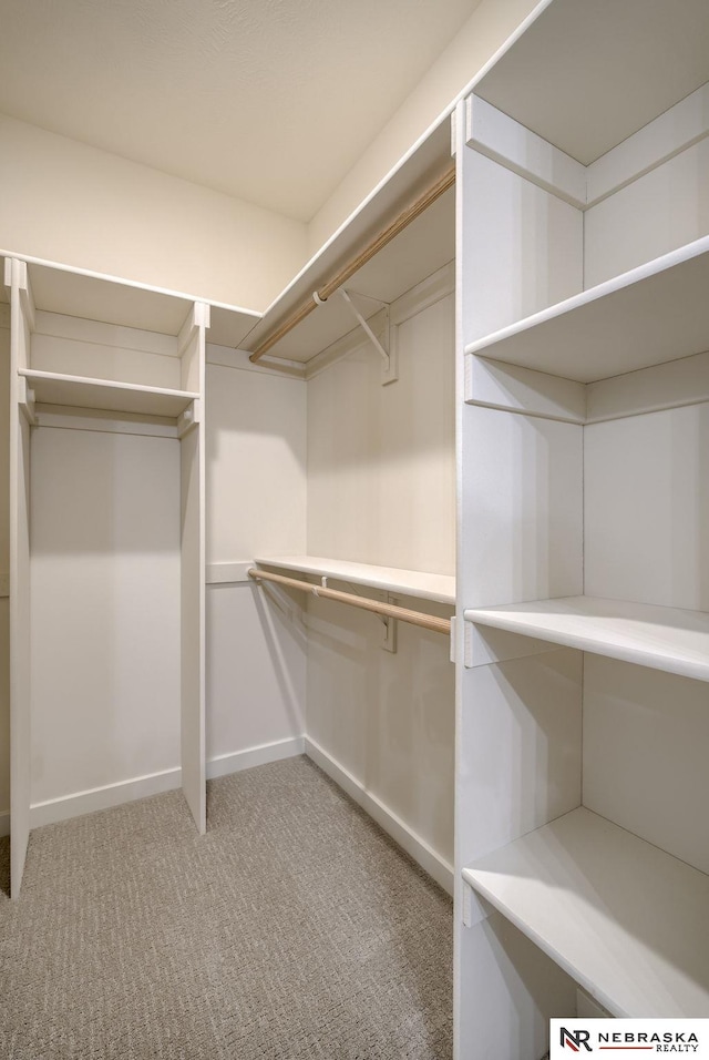 walk in closet featuring light colored carpet