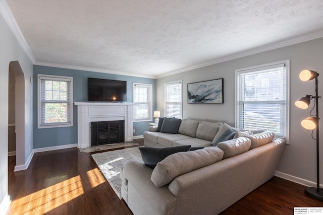 living room with a tile fireplace, dark wood-type flooring, a textured ceiling, and ornamental molding