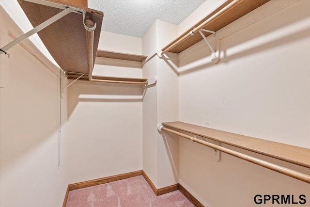 walk in closet featuring light colored carpet