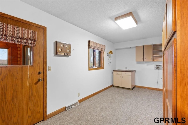 laundry room featuring light carpet, a textured ceiling, and plenty of natural light