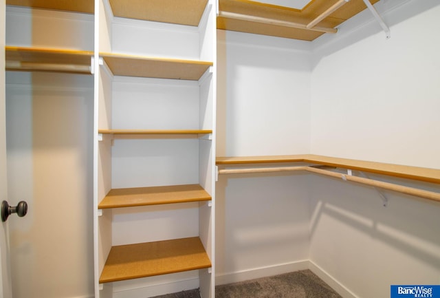 spacious closet with carpet flooring and built in desk