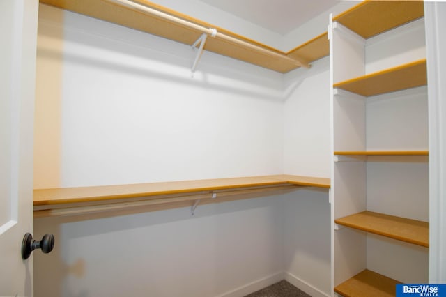 walk in closet with carpet floors and built in desk