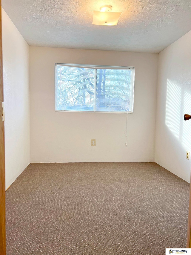 spare room featuring carpet and a textured ceiling