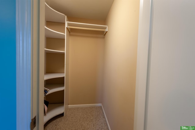 walk in closet with carpet