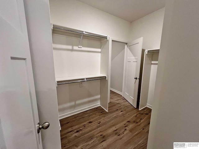 spacious closet featuring dark hardwood / wood-style flooring