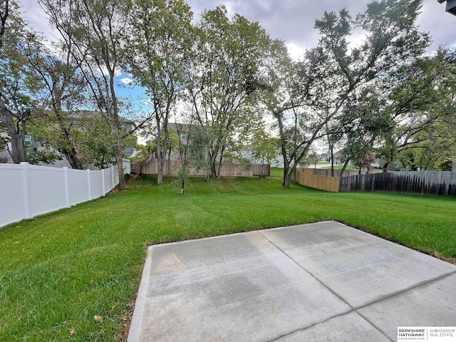 view of yard featuring a patio area