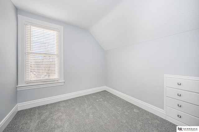 additional living space with carpet and vaulted ceiling