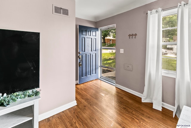 entryway featuring hardwood / wood-style floors and a wealth of natural light