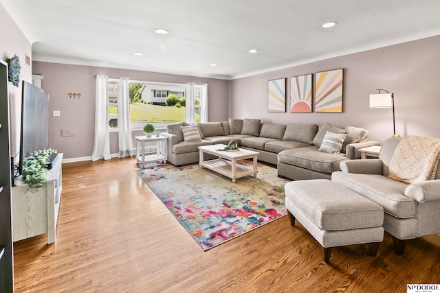 living room with light hardwood / wood-style flooring