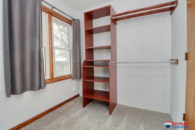 walk in closet with light carpet