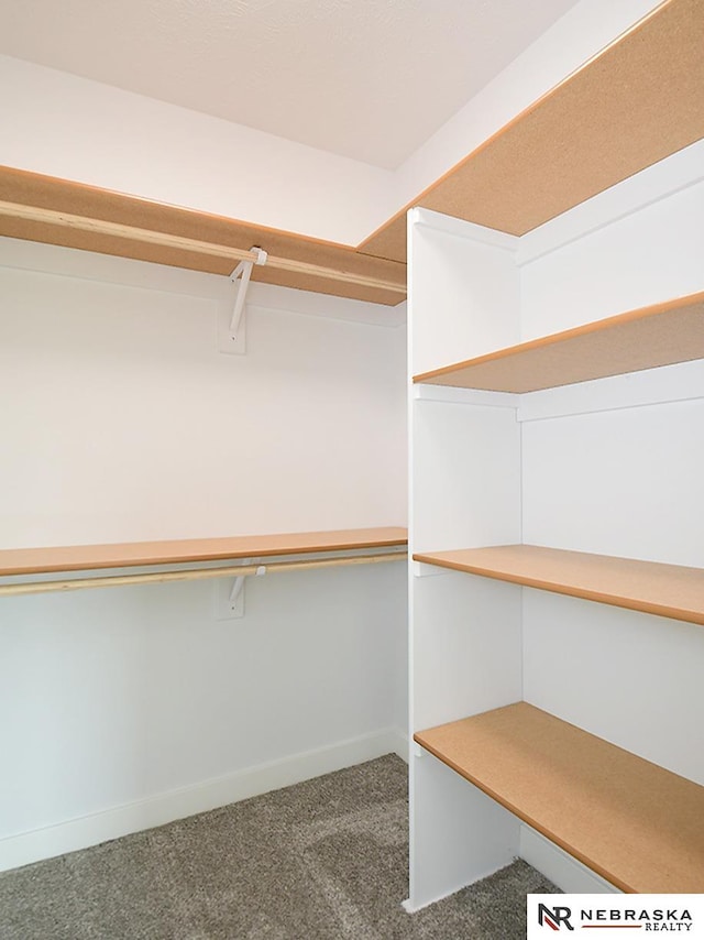 spacious closet featuring carpet floors