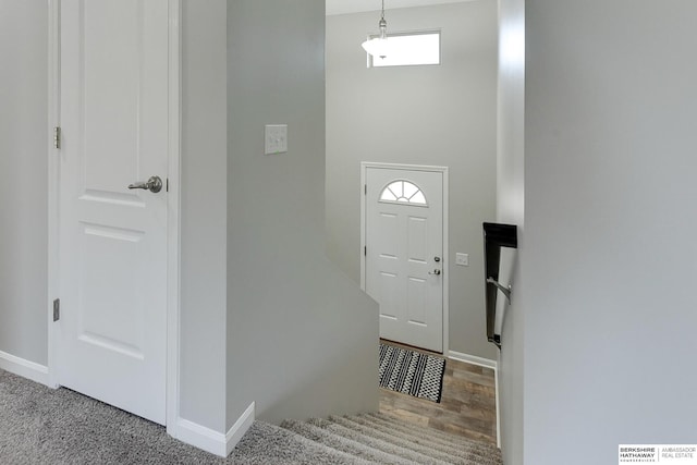 foyer entrance with wood-type flooring