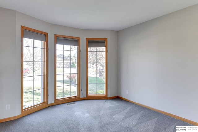 carpeted spare room featuring a wealth of natural light