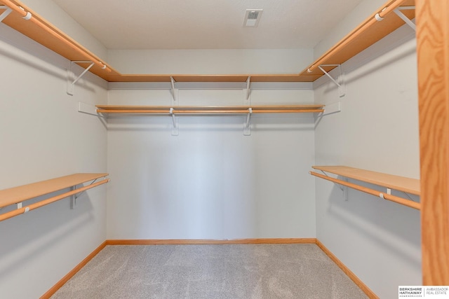 walk in closet featuring carpet