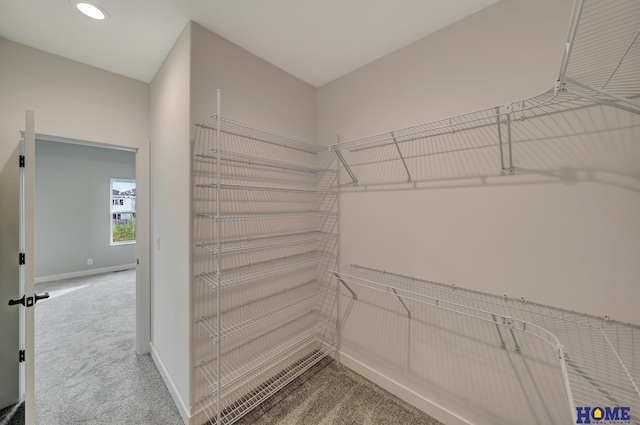 walk in closet featuring carpet