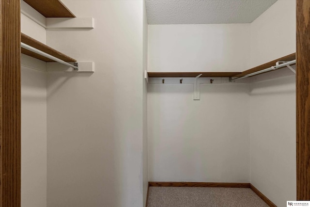 walk in closet featuring light colored carpet