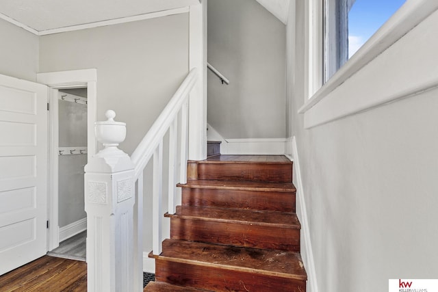 stairs with hardwood / wood-style flooring