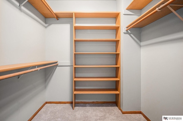 walk in closet with light carpet