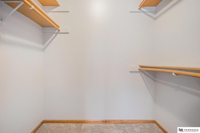 spacious closet featuring carpet