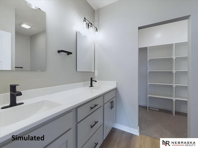 bathroom featuring wood-type flooring and vanity