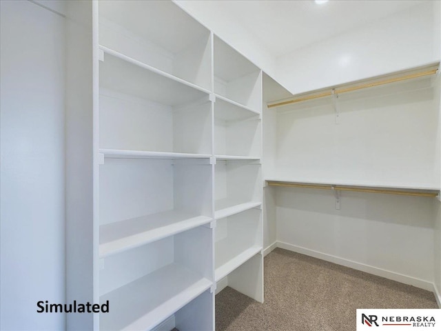 spacious closet with carpet