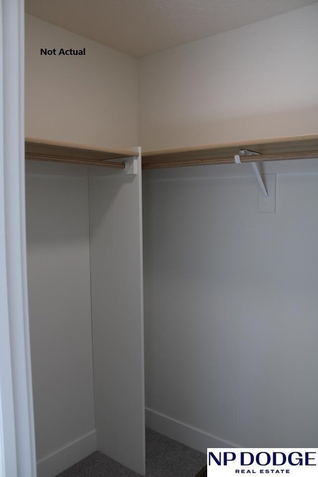 spacious closet featuring carpet