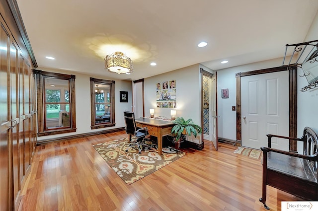 office featuring wood-type flooring