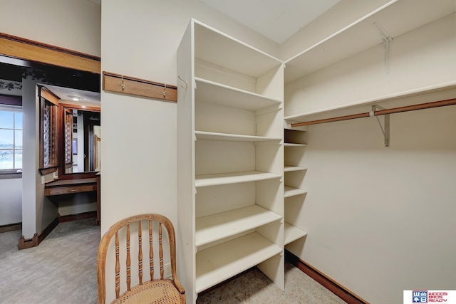 spacious closet with light colored carpet