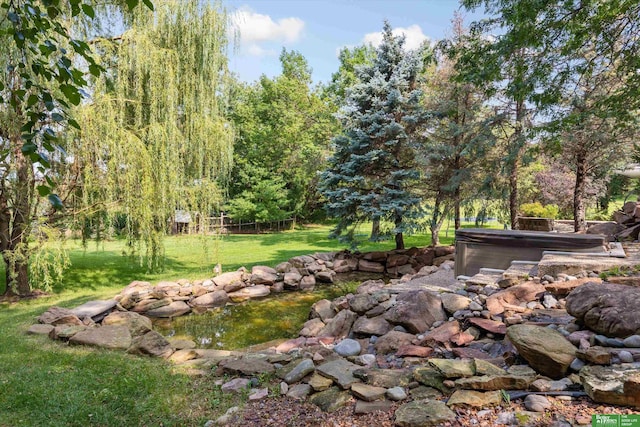 view of yard with a hot tub