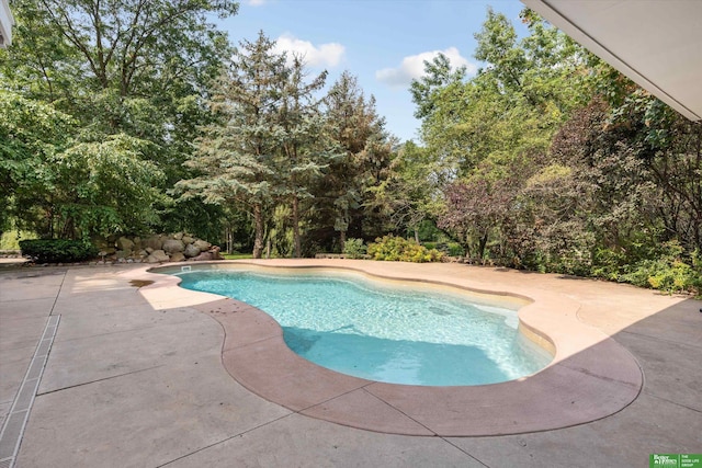 view of swimming pool with a patio area