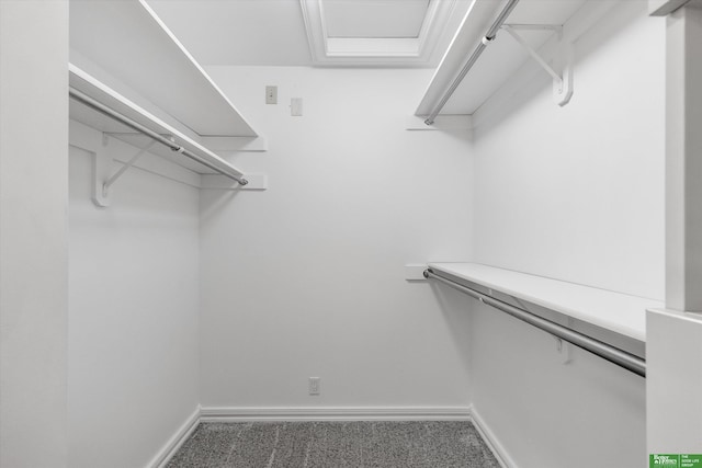 spacious closet featuring carpet floors