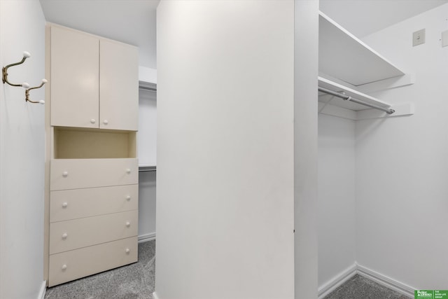 spacious closet featuring light carpet