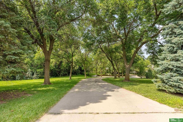 view of community with a lawn