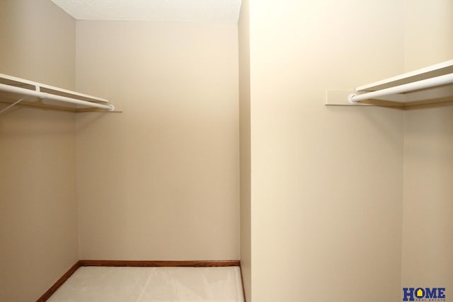 view of spacious closet