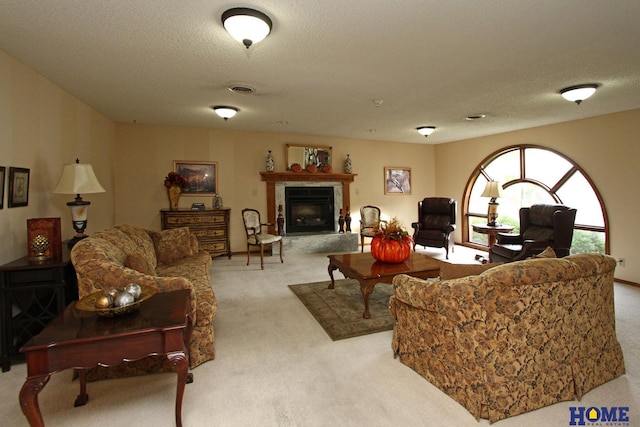 carpeted living room featuring a textured ceiling